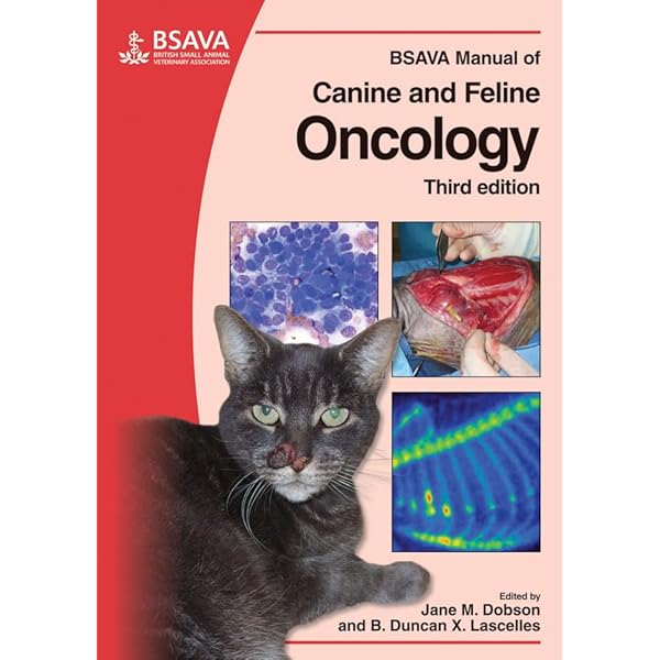 Canine and Feline Respiratory Medicine: Johnson, Lynelle R